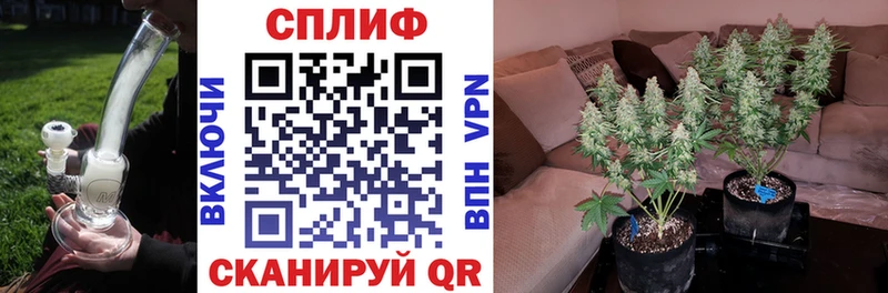 Купить Нижний Ломов Бошки Шишки LSD WEED